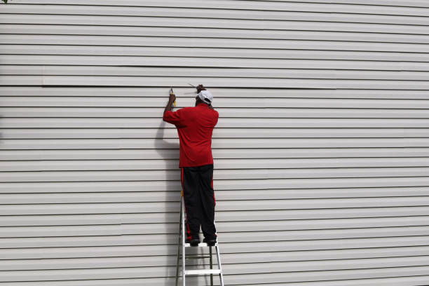 Affordable Siding Repair and Maintenance Services in Citrus Park, FL