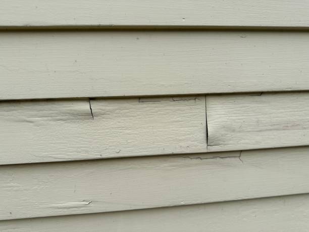 Best Storm Damage Siding Repair  in Citrus Park, FL