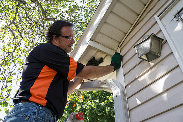 Siding Removal and Disposal in Citrus Park, FL